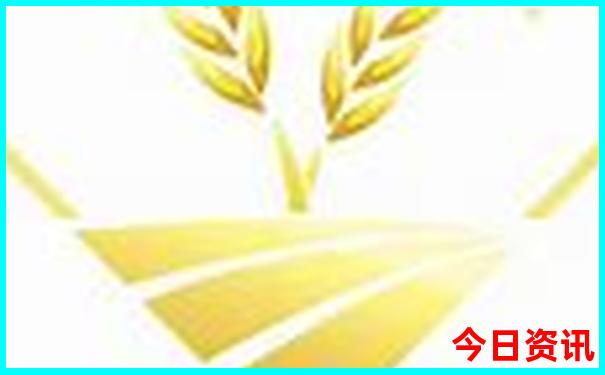 湖南省内好玩的地方排行榜